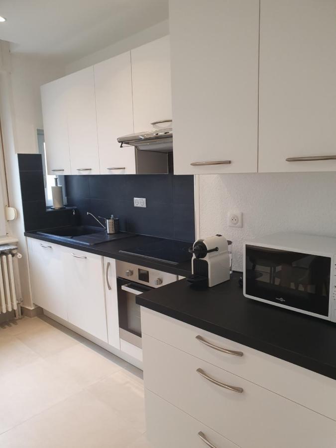 Appartement De Prestige Au Centre Climatise Avec Jardin Prive Colmar Kültér fotó