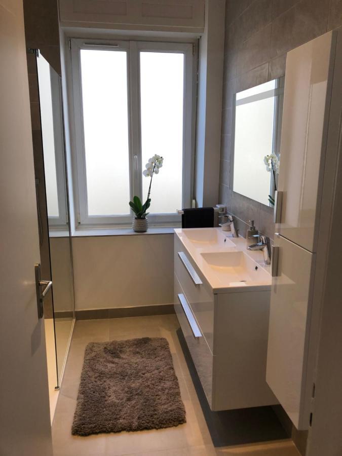 Appartement De Prestige Au Centre Climatise Avec Jardin Prive Colmar Kültér fotó