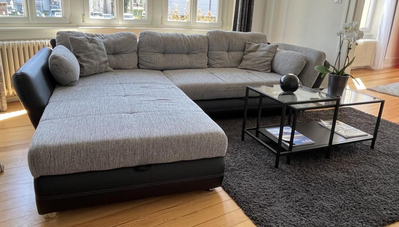 Appartement De Prestige Au Centre Climatise Avec Jardin Prive Colmar Kültér fotó