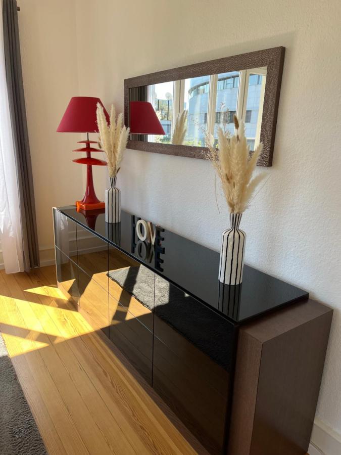 Appartement De Prestige Au Centre Climatise Avec Jardin Prive Colmar Kültér fotó
