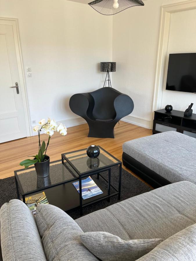 Appartement De Prestige Au Centre Climatise Avec Jardin Prive Colmar Kültér fotó