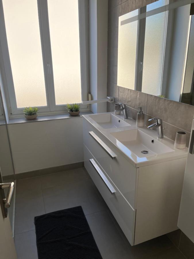 Appartement De Prestige Au Centre Climatise Avec Jardin Prive Colmar Kültér fotó
