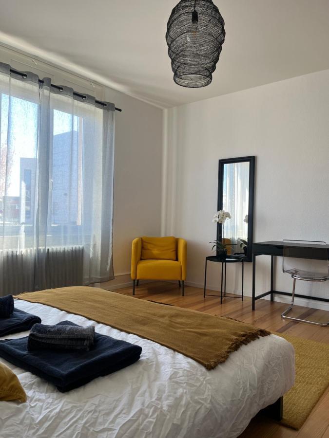 Appartement De Prestige Au Centre Climatise Avec Jardin Prive Colmar Kültér fotó