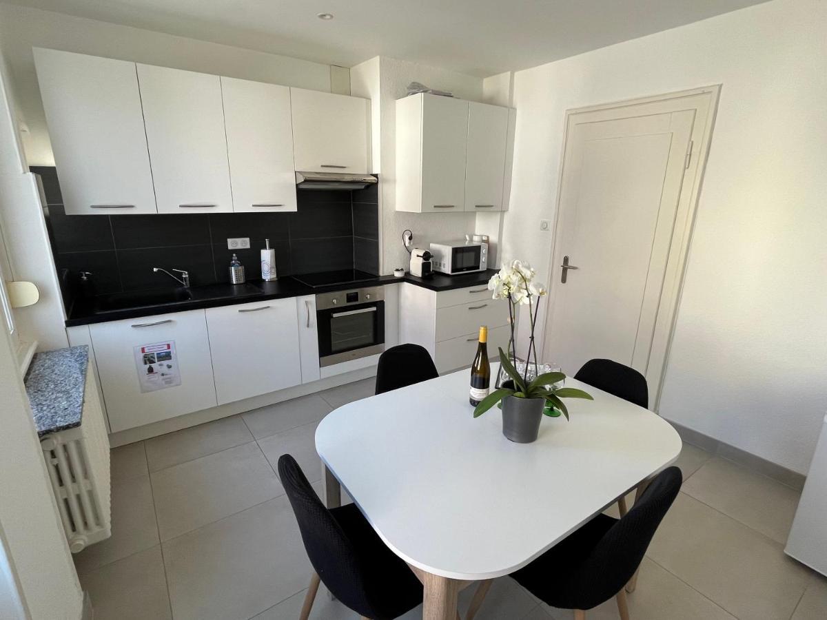 Appartement De Prestige Au Centre Climatise Avec Jardin Prive Colmar Kültér fotó
