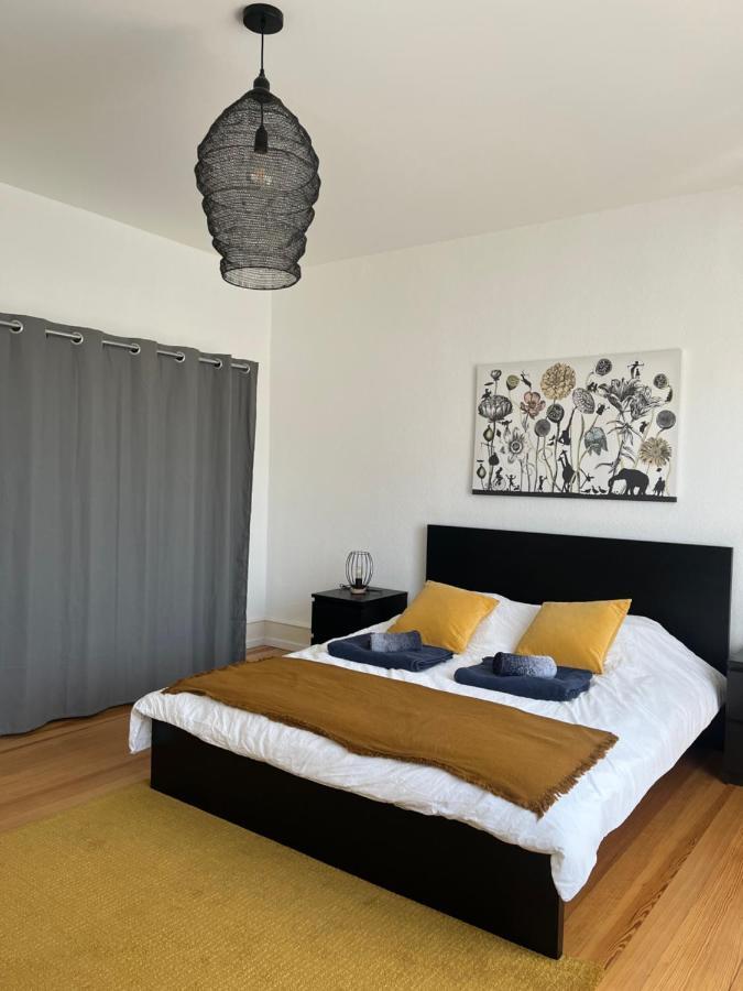 Appartement De Prestige Au Centre Climatise Avec Jardin Prive Colmar Kültér fotó