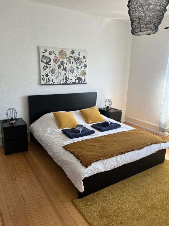 Appartement De Prestige Au Centre Climatise Avec Jardin Prive Colmar Kültér fotó