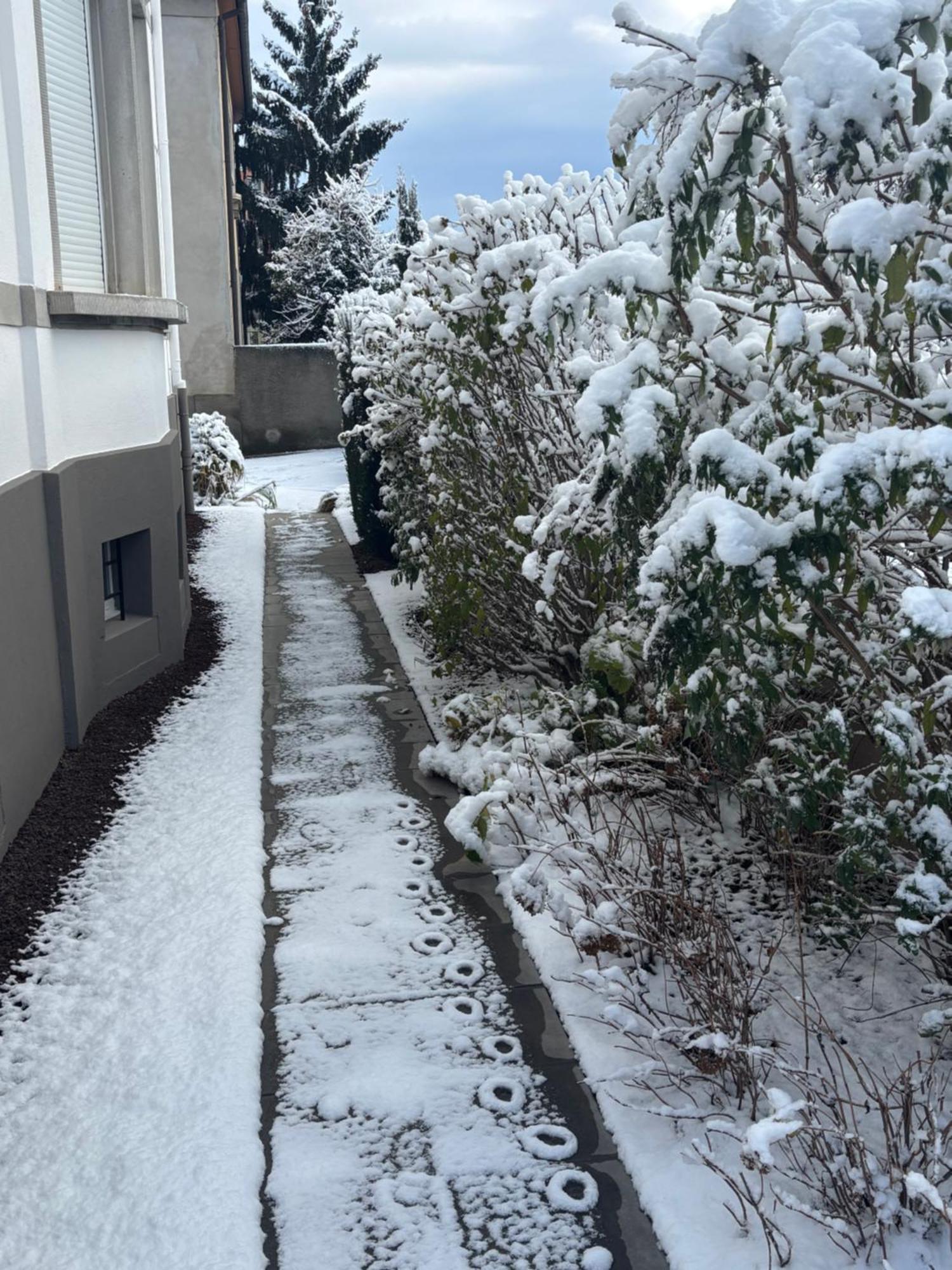 Appartement De Prestige Au Centre Climatise Avec Jardin Prive Colmar Kültér fotó